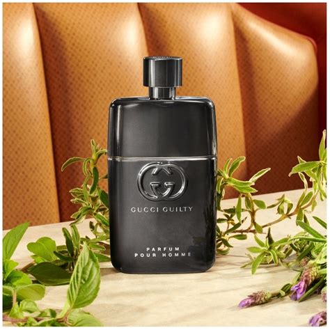 gucci pour homme edp|gucci guilty pour homme notes.